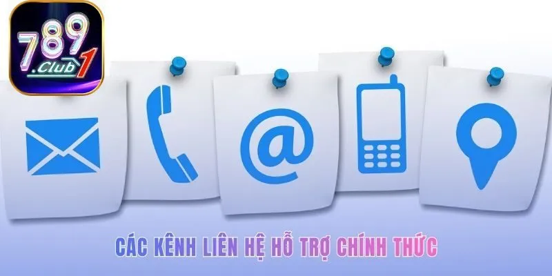 Hỗ trợ người chơi 24/7 qua các kênh liên lạc chính thức
